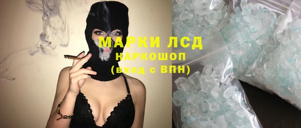 PSILOCYBIN Аркадак