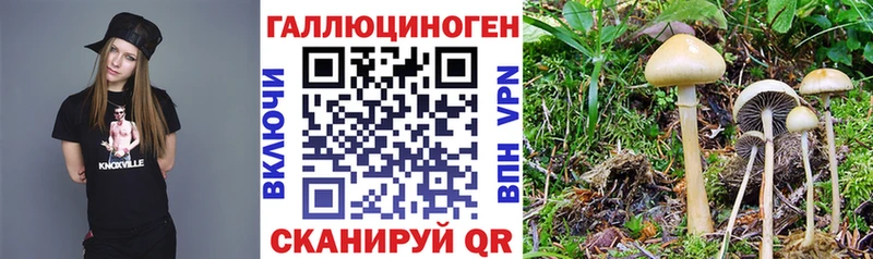 Галлюциногенные грибы Magic Shrooms  Аша 